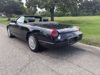Picture of Used 2004 Ford Thunderbird Convertible V8